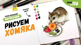 Как нарисовать хомяка? / Видео-урок по рисованию маркерами 