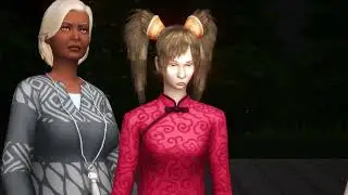 Dobby Chinesa Meme - Versão The Sims 4 