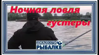 Диалоги о рыбалке - 025 / Ночная ловля густеры!