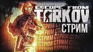 СТРЕЛОК ОТ БОГА  #тарков Escape From Tarkov