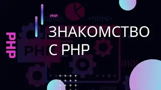 PHP для начинающих. Изучаем основы языка на практике