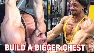 Build a BIGGER Chest with Joesthetics / (Full Workout)