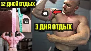 КАК ЧАСТО ТРЕНИРОВАТЬ ОДНУ ГРУППУ МЫШЦ ЧТОБЫ БЫЛ РОСТ?