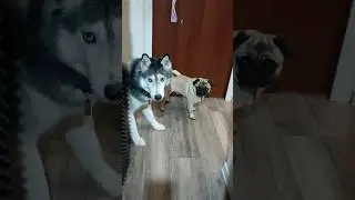 Недолгожданный визит