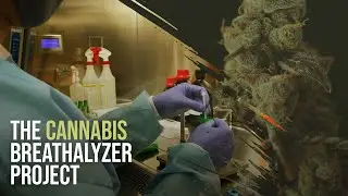 Analyzing THC in the breath of cannabis smokers