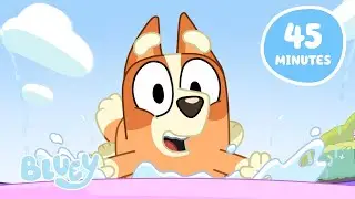 🔴LIVE: Water Fun with Bluey and Bingo 💧💙🧡 | Let's Play with Bluey | Bluey