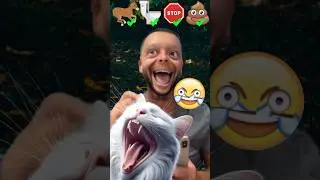 Tom sings laugh at son stop for english or spanish songs version emoji