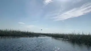 Выход в озеро Воже по реке Чепца