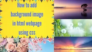 Full Screen Background Image in Html and Css |Background-image ,size ,repeat, position CSS3 tutorial