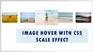 CSS scale animation | CSS scale image on hover | CSS transform | webwiserin