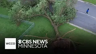 Cottage Grove homeowners clear away mess after storm