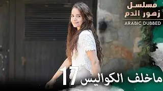 كواليس مسلسل زهور الدم 17 | مسلسل زهور الدم | مدبلج بالعربية | Kan Çiçekleri