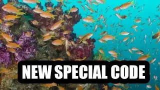 New Fishing Clash Code March 2021 | Fishing Clash Gift Code | Fishing Clash Redeem Code 2021