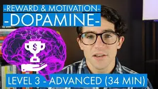 Dopamine, Motivation, and Reward (prediction error signaling) - Level 3 (Advanced)