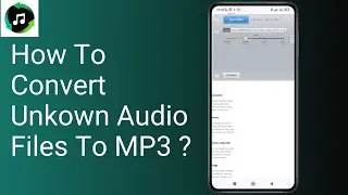 How To Convert Unkown Audio Files To MP3 ?