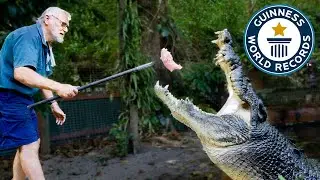 Meet Cassius, Worlds Largest Crocodile! - Guinness World Records