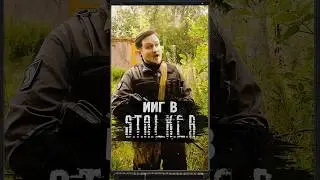 ИИГ В S.T.A.L.K.E.R. #shorts #игры #stalker