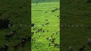 Beautiful & Relaxing Duduk Music in the Caucasus Mountains