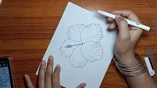 how to draw a 3d flower drawing easy step by step