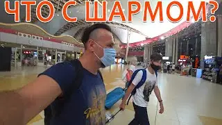 ШАРМ-ЭЛЬ-ШЕЙХ СЕЙЧАС/КАК УЛЕТЕТЬ В ЕГИПЕТ? НОМЕР ДЛЯ ПОСТОЯННЫХ КЛИЕНТОВ ROYAL ALBATROS MODERNA/2021