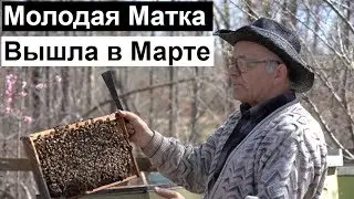 Пасека 