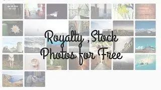 Royalty Free Stock Photos for Free