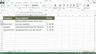 Excel Tutorial - Wrapping and shrinking cell text