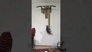Кошка увидела лазалку