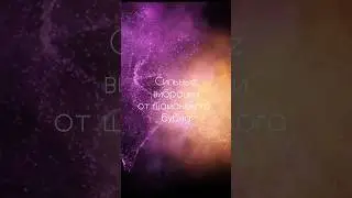 Отзывы участников ретрита