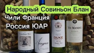 Совиньон блан. Лефкадия/Caroline Bay/Viu Manent/DUKE. Чилийское вино Совиньон Блан.