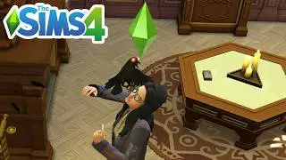 Sims 4 Life And Death: Crow Death (How It Happens?)