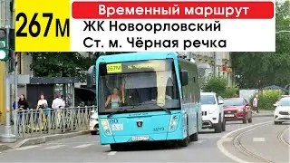 Автобус 267м "Ст. м. "Чёрная речка" - ЖК "Новоорловский" (временный маршрут) (маршрут закрыт)