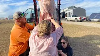 Butchering A Pig With Friends | North Texas Homestead