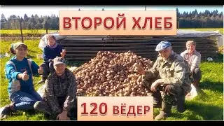 Убираем ГЛАВНЫЙ деревенский продукт