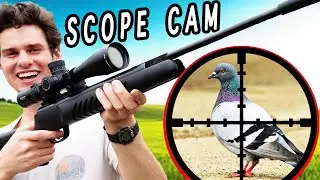 Pest Bird Hunting w/ .177 Break Barrel Air Rifle! [Catch and Cook]