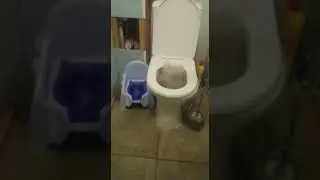 Домашний фонтан