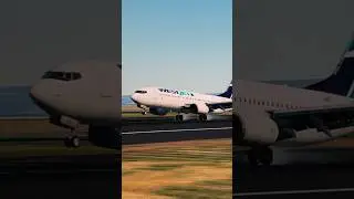 X-PLANE 12 | ZIBO B737-800 | LANDING AT SFO/ KSFO