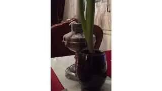 Необычное кафе в Москве - Кусочки