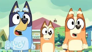 🔴LIVE: Best of Bluey Seasons 1 - 3! 💙 | FULL EPISODES | 2 HOURS | Bluey