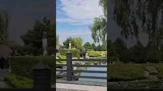 Сон наяву