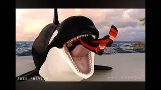 Orca Vore