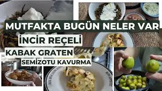 İNCİR REÇELİ, KABAK GRATEN, SEMİZOTU KAVURMA YAYLA ÇORBASI, GÜNÜN MENÜSÜ, BİR ÖĞÜN PİŞİR TÜM GÜN YE