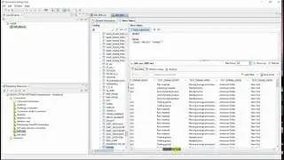 SAP ERP data in Business Objects IDT