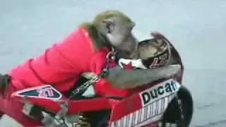 Monkey Super Drift