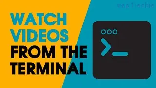 Watch Video in Your Linux Terminal!