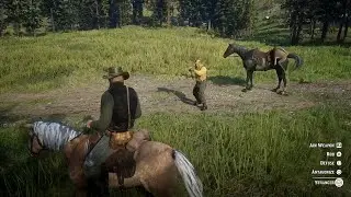 Only The Veterans Of This Game Know How To Kill NPC Without Losing Honor - RDR2