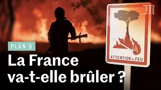 Incendies : peut-on empêcher les feux de forêt ?