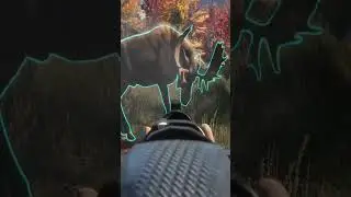 AGGRESSIVE MOOSE! New England Early Access! Call of the wild #shorts