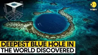 Worlds deepest Blue Hole discovered in Mexico | WION Originals