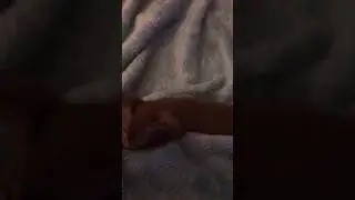 ❤️орики❤️